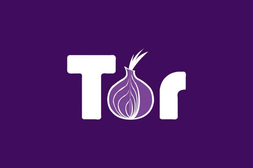 is tor browser safe to download torrents